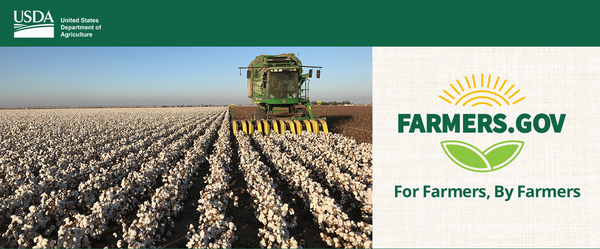 Seed Cotton Recourse Loans