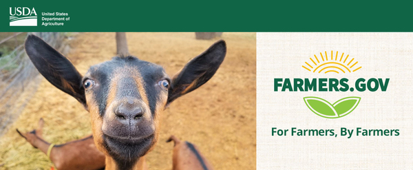 02152019FOTF_GoatsandGelato