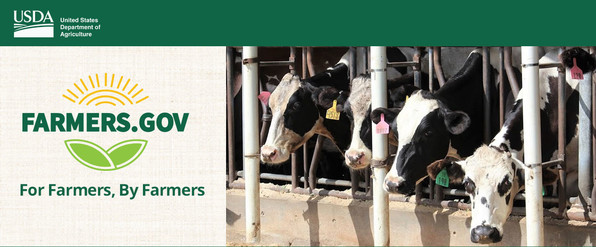 Dairy Margin Coverage