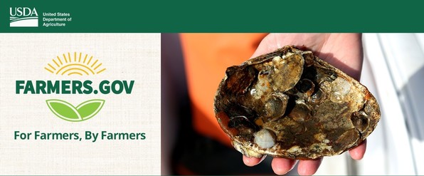 Oysters Back to Bissel GovDelivery