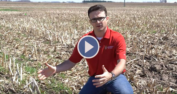 Cover Crop Video 8