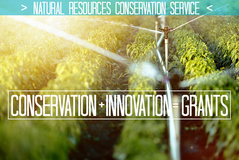 CIG graphic Conservation Innovation Grants