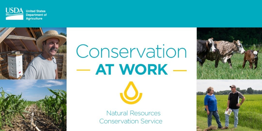 ConservationAtWork_Graphic