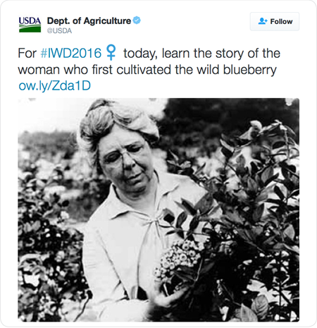 For #IWD2016 today, learn the story of the woman who first cultivated the wild blueberry http://ow.ly/Zda1D  