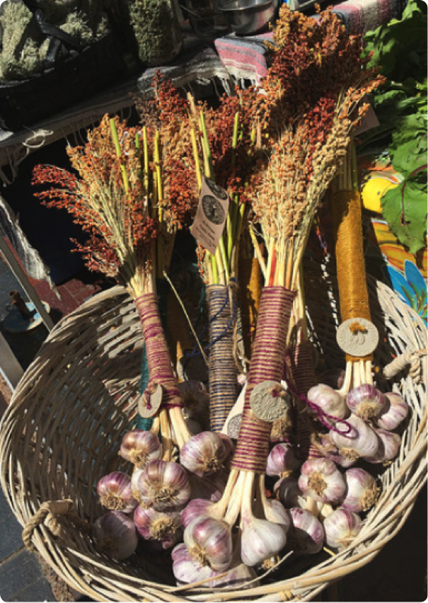 El Bosque Garlic Farms' hand-tied garlic