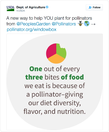 A new way to help YOU plant for pollinators from @PeoplesGarden @Pollinators  → http://www.pollinator.org/windowbox  