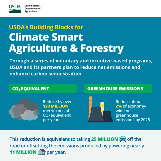 Climate Smart Agriculture & Forestry animated infographic