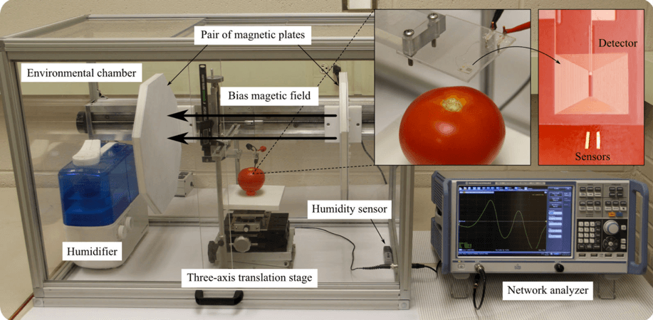 New screening tool to test fresh fruits and vegetables