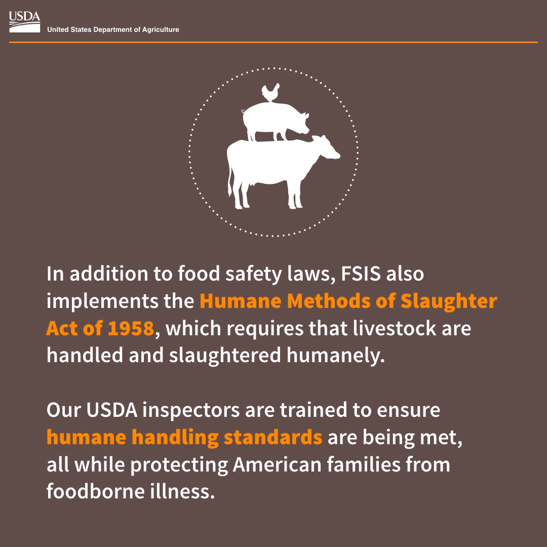Our USDA inspectors are trained to ensure humane handling standards are being met,  all while protecting American families from foodborne illness.