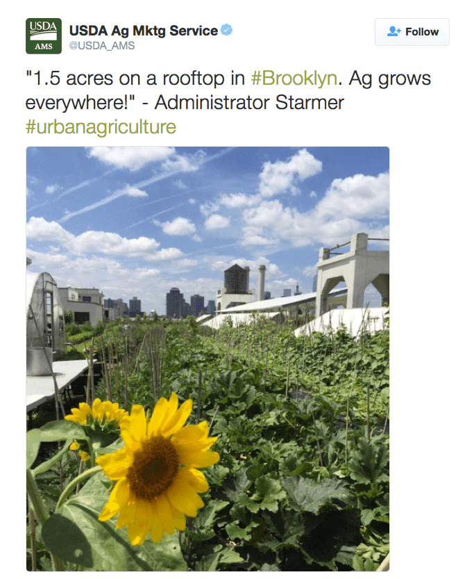 "1.5 acres on a rooftop in #Brooklyn. Ag grows everywhere!" - Administrator Starmer #urbanagriculture