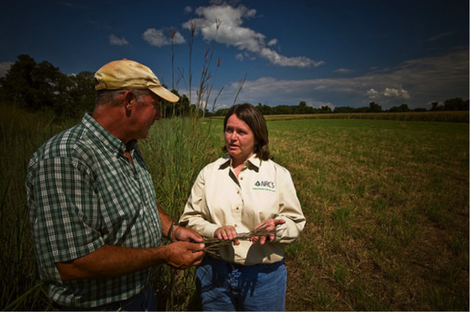 To improve the health of the Chesapeake Bay watershed, farmers and forest landowners are using conservation systems that reduce nutrient and sediment 