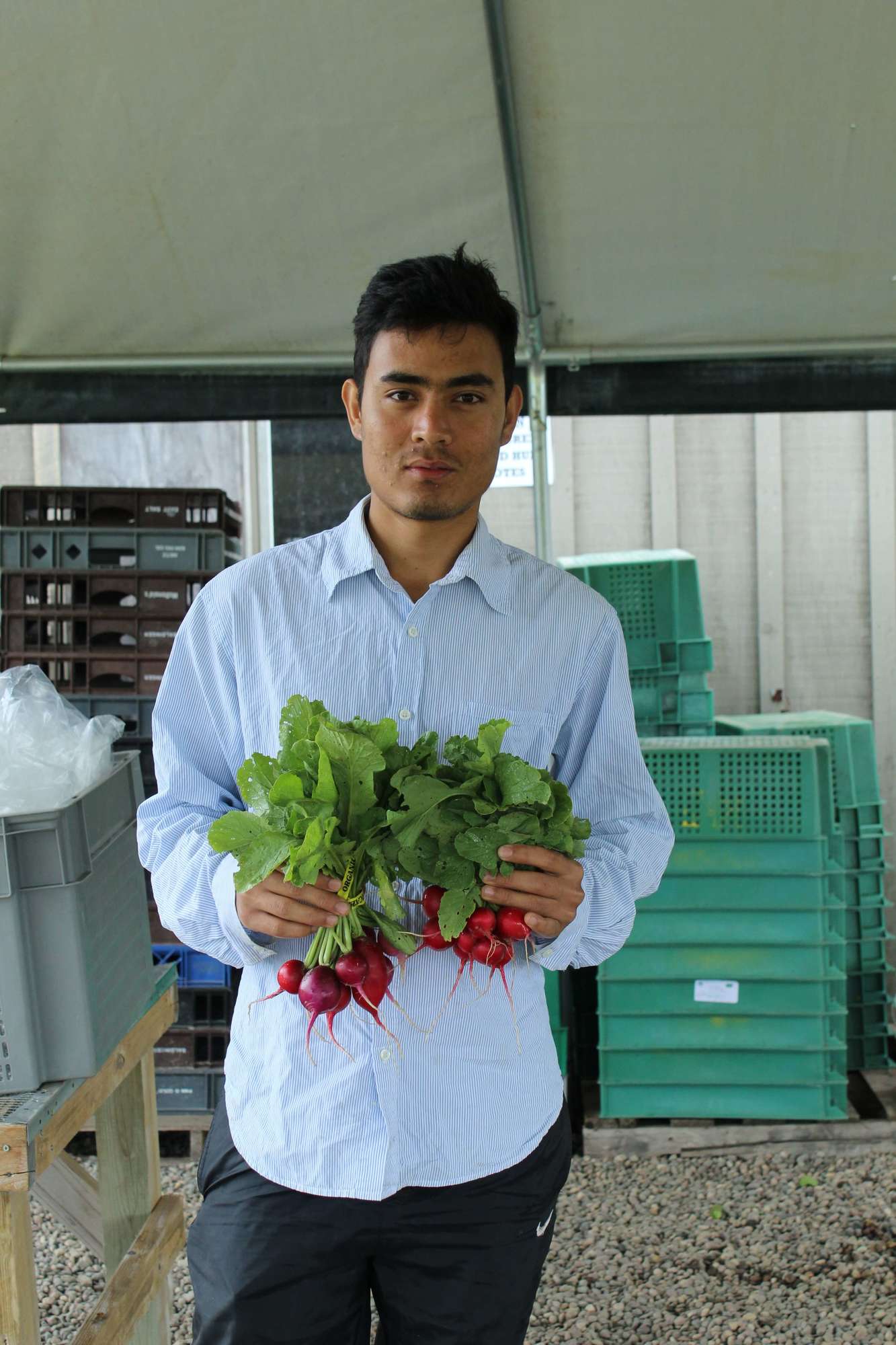 Suraj Budathoki grew up farming next to a Bhutanese refugee camp. MFA’s Farmer Training Program helped him to pursue his passion for sustainable farmi