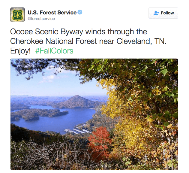 Ocoee Scenic Byway winds through the Cherokee National Forest near Cleveland, TN. Enjoy! #FallColors