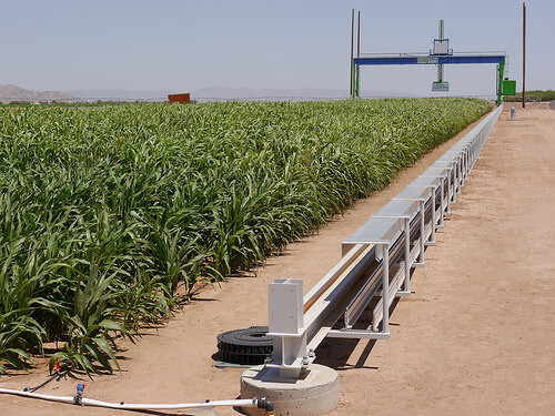 ARS scientists and their partners are using a giant electronic scanner in Maricopa, Arizona to study the growth characteristics of sorghum plants