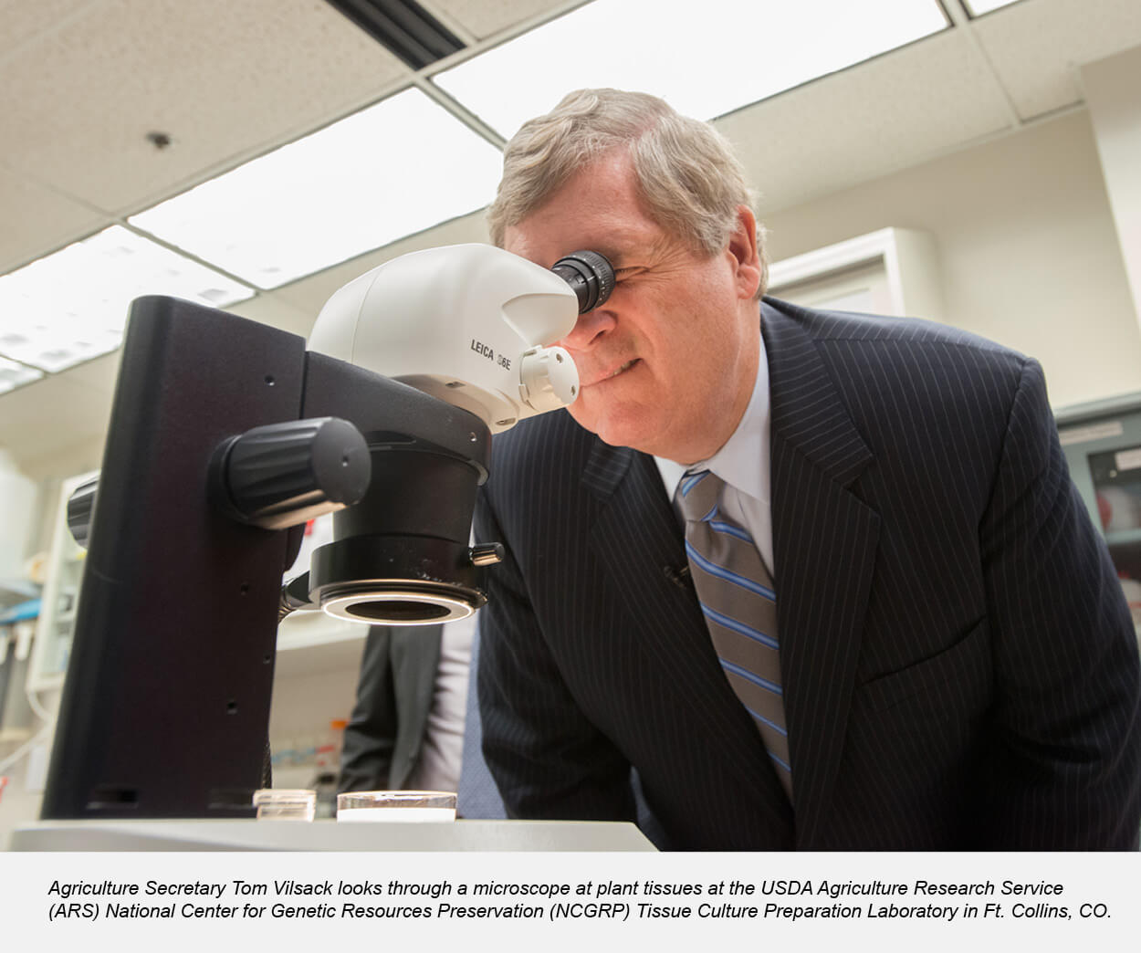 Agriculture Secretary Tom Vilsack looks through a microscope at plant tissues at the USDA Agriculture Research Service (ARS) National Center for Genet