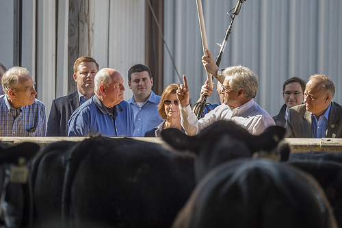  Secretary Perdue visited Nevada, Iowa to tour Couser Cattle Company