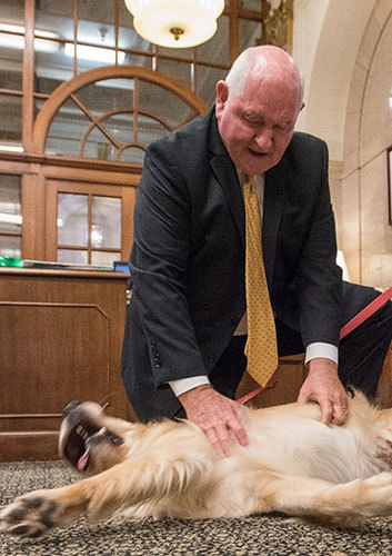 Agriculture Secretary Sonny Perdue, a trained veterinarian, prescribes a much-needed belly rub on Bring Your Dog to Work Day at USDA this week