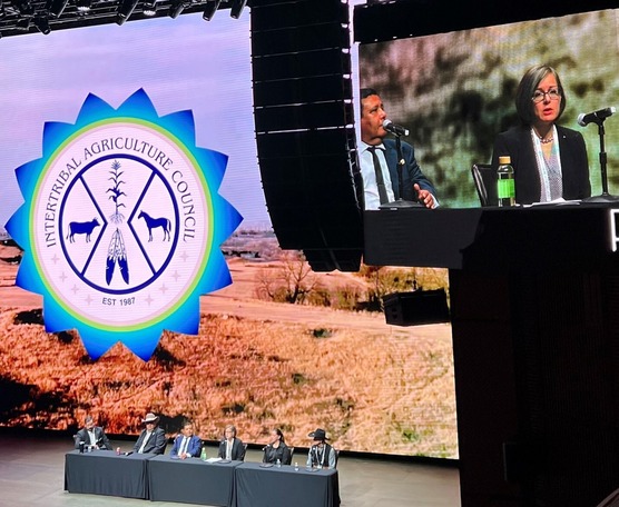 OTR Acting Director Betsy Rakola speaks during the closing panel of the Intertribal Agriculture Council annual conference on December 12, 2024