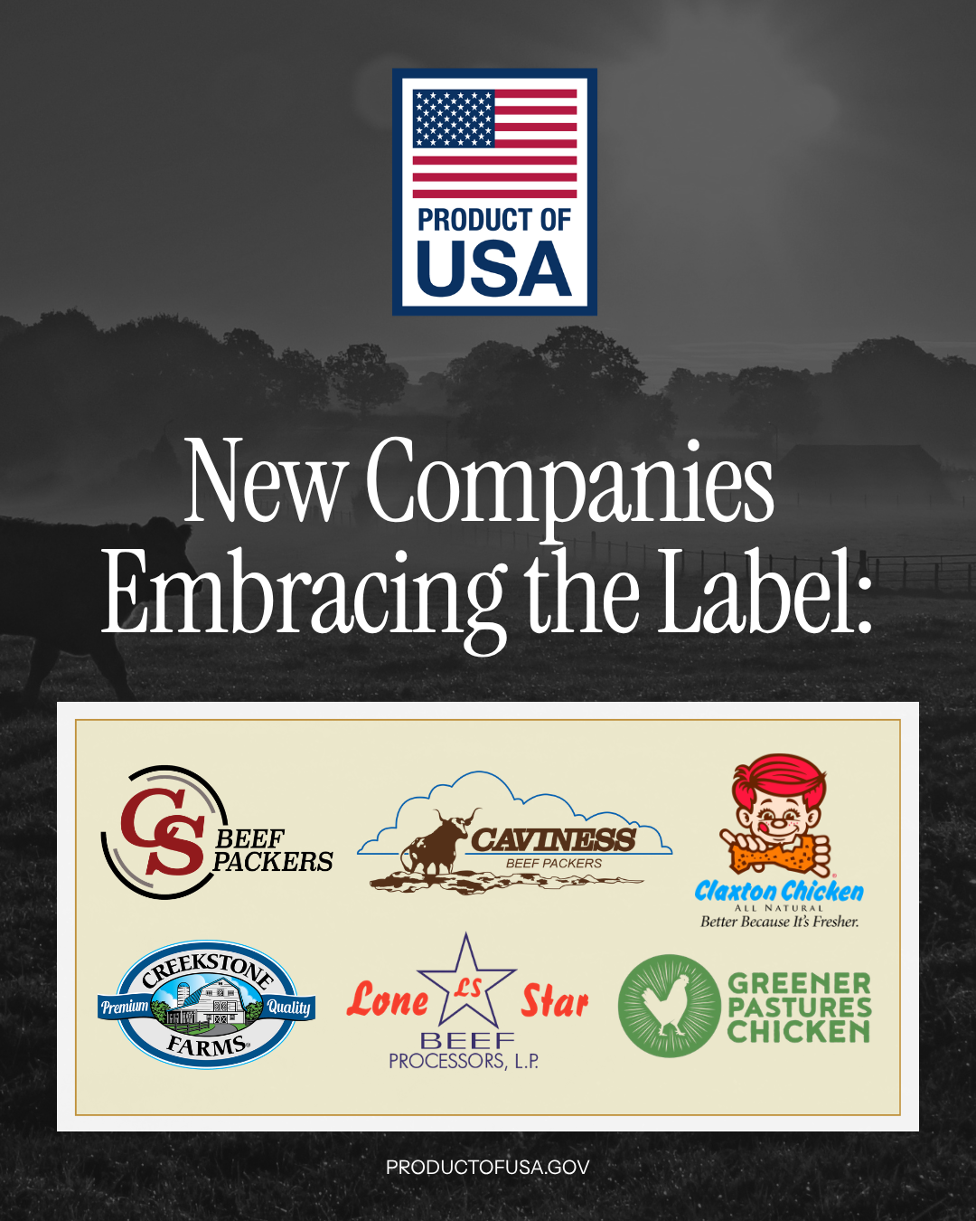 POTUSA new companies graphic