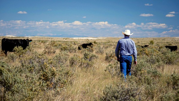 Clayton Gardner raises cattle on 777 Ranch in Torrance County, NM