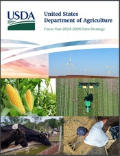 cover of USDA data strategy