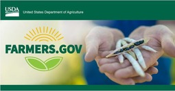 Farmers.gov logo plus image of hands holding seed pod