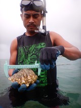 Asian man standing in water measures large conch