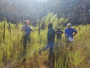 Four mixed race men stand in a field