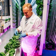 Brad Fourby in a white lab coat pruning plants in a lab