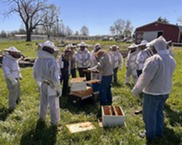 Group of people wearing white bee protection gear standing outside next to boxes of beehives