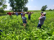 Group of people in a green field