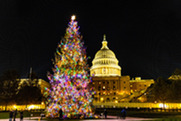 brightly lit up Christmas tree in front of U.S. Capitol building