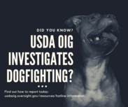 USDA OIG investigates dogfighting