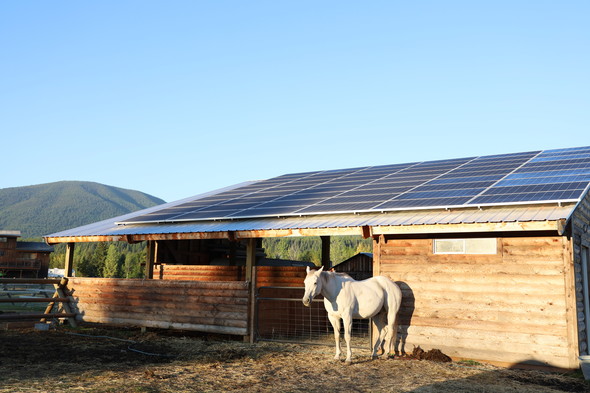 Picture of solar arrays