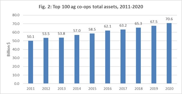 Fig. 2 Top 100 Total Assets 2011 through 2020