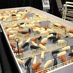 hogs display