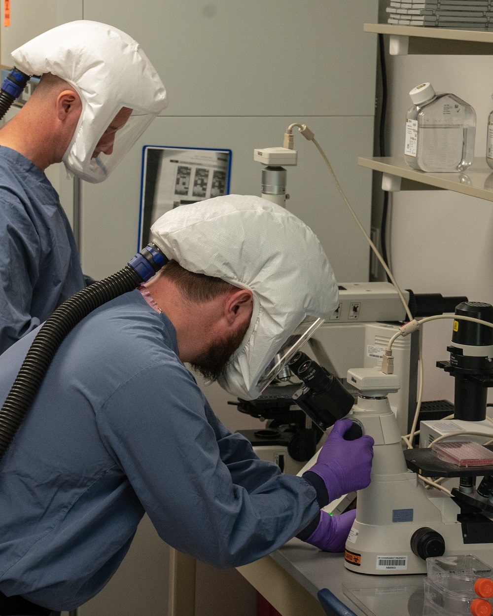 NBACC scientists work in a biosafety level 3 laboratory.