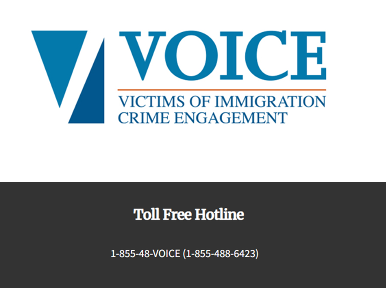 voice hotline voice hotline