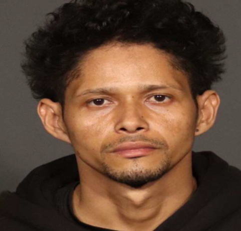 Marcos Alfredo Garrido-Alvarado