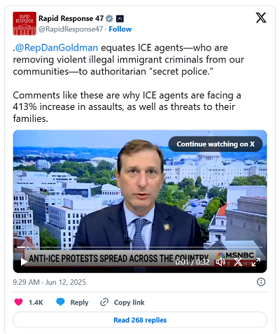 Dan Goldman compared ICE to the 