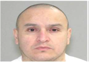 Armando Vasquez-Gonzalez