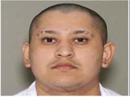 Josue Edimar Mejia-Anaya