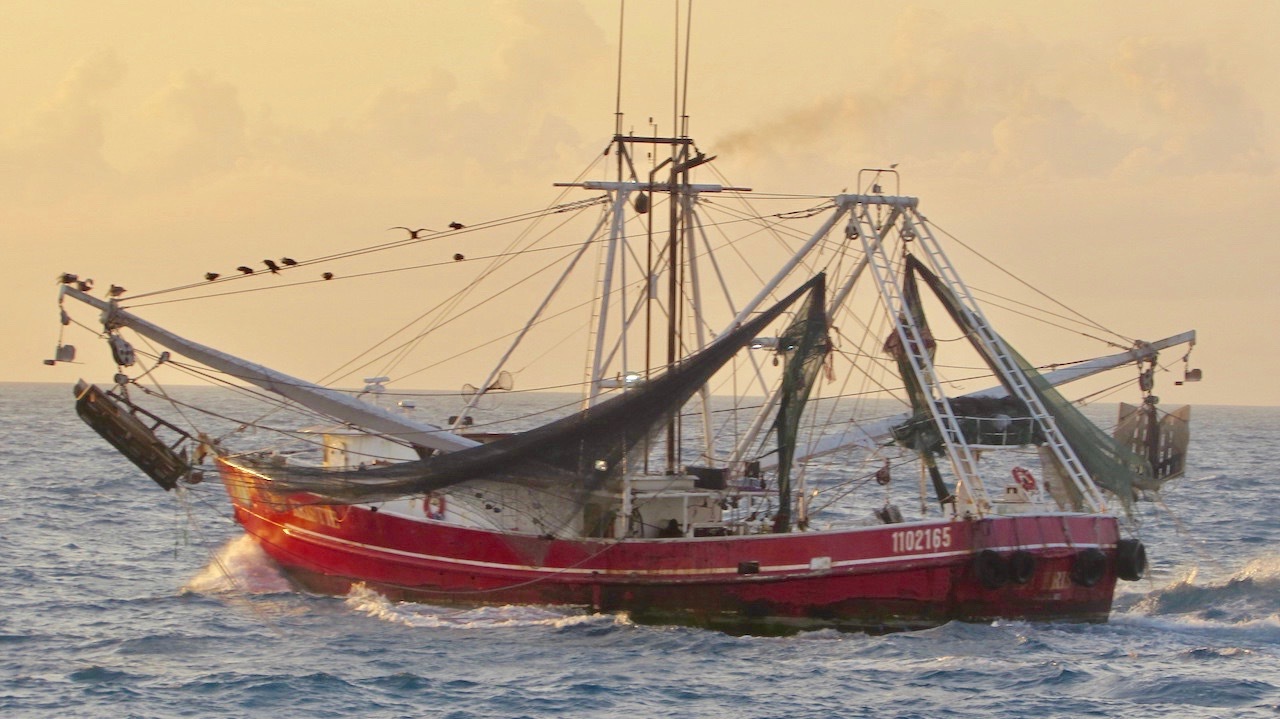Coast Guard, NOAA terminate voyage for illegal fishing in Tortugas Ecological Reserve