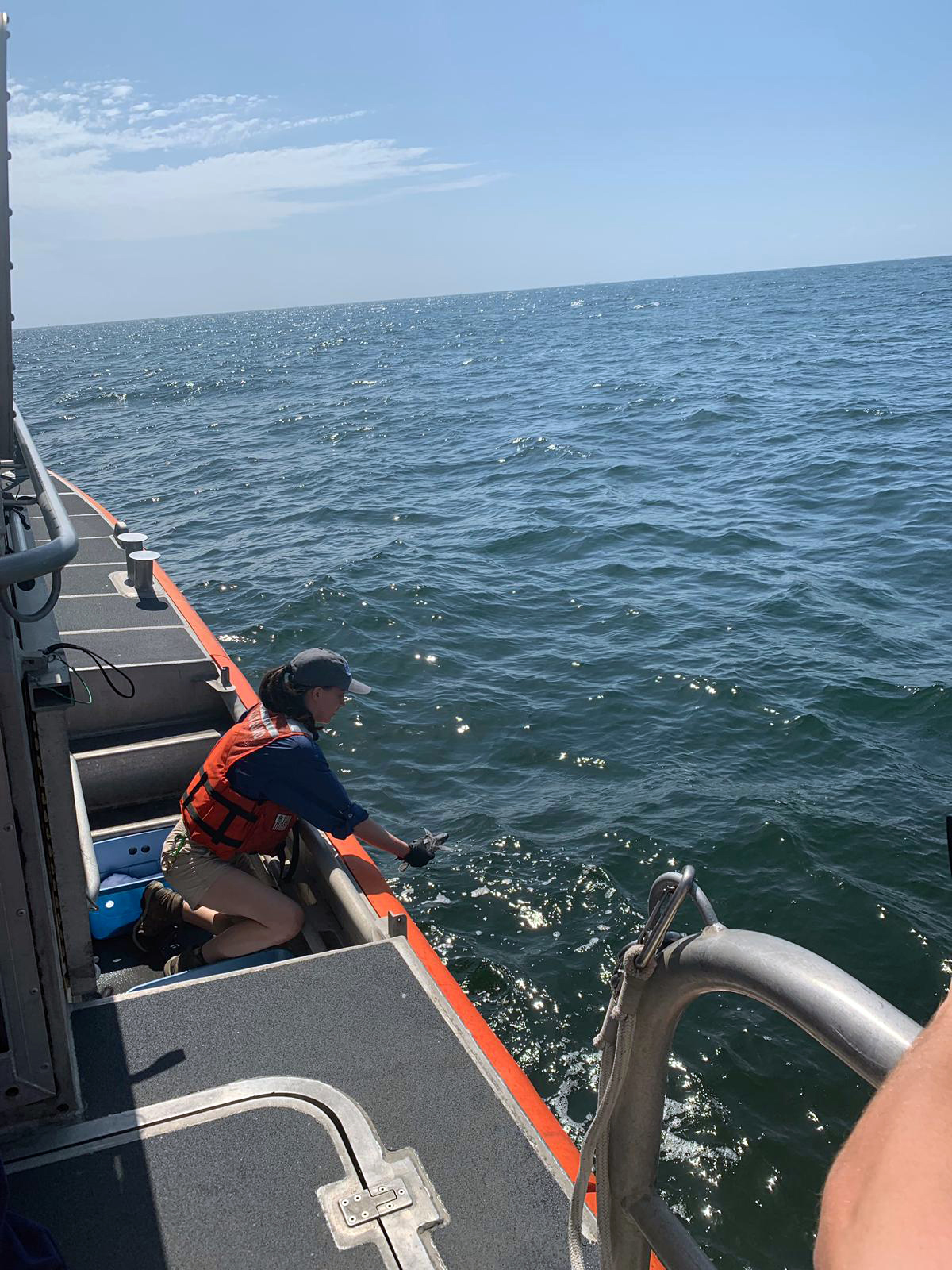 Coast Guard partners with Texas State Aquarium Wildlife Rescue Center to release rehabilitated sea turtles near Port Aransas, Texas