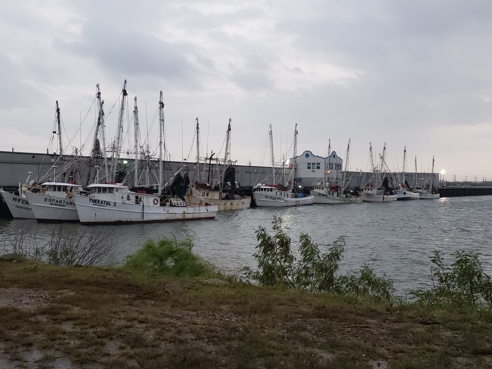 Mexican fishing vessels seek safe harbor ahead of Tropical Storm Ferdinand near Brownsville, Texas