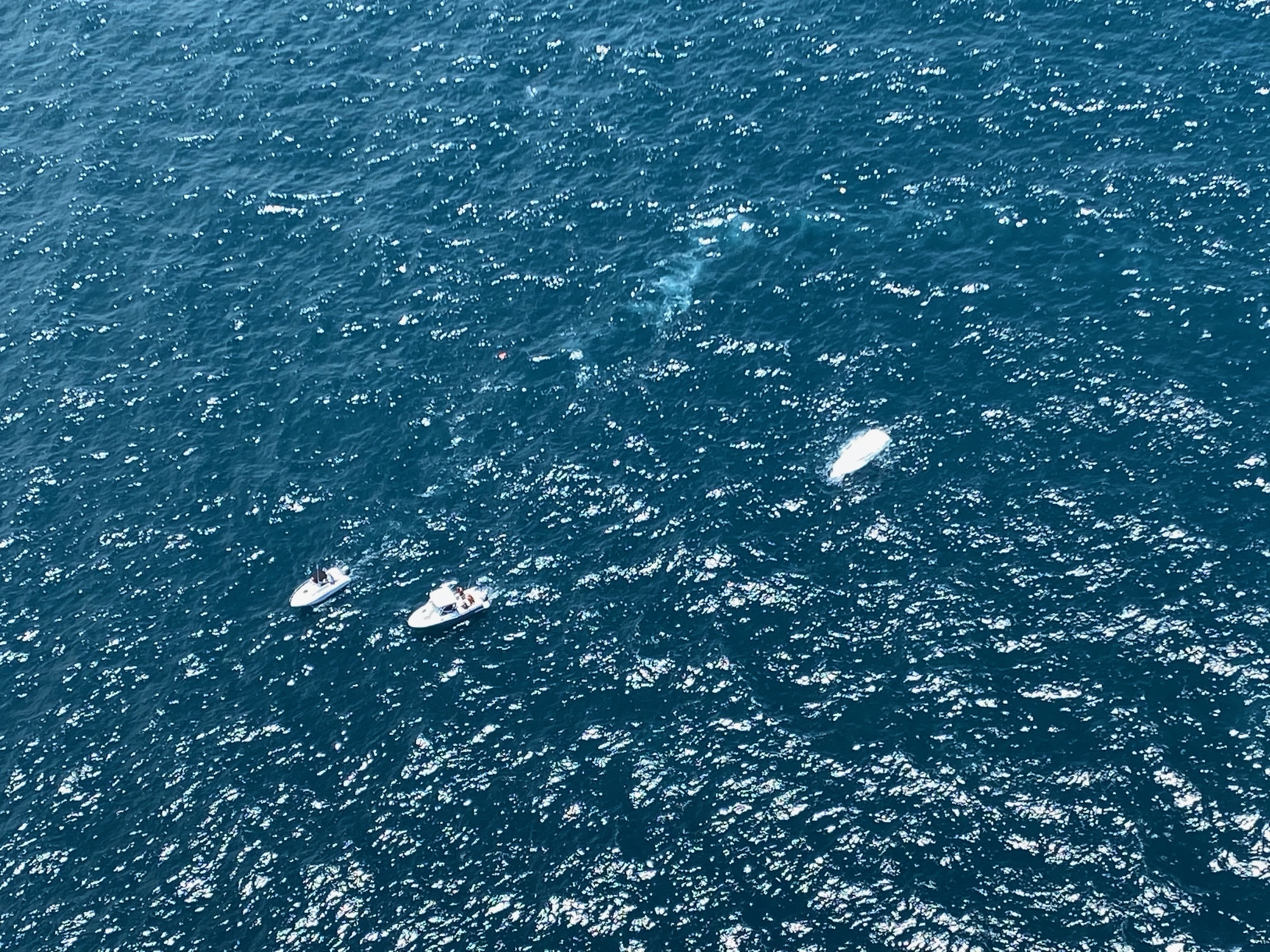 View from helicopter of capsized vessel