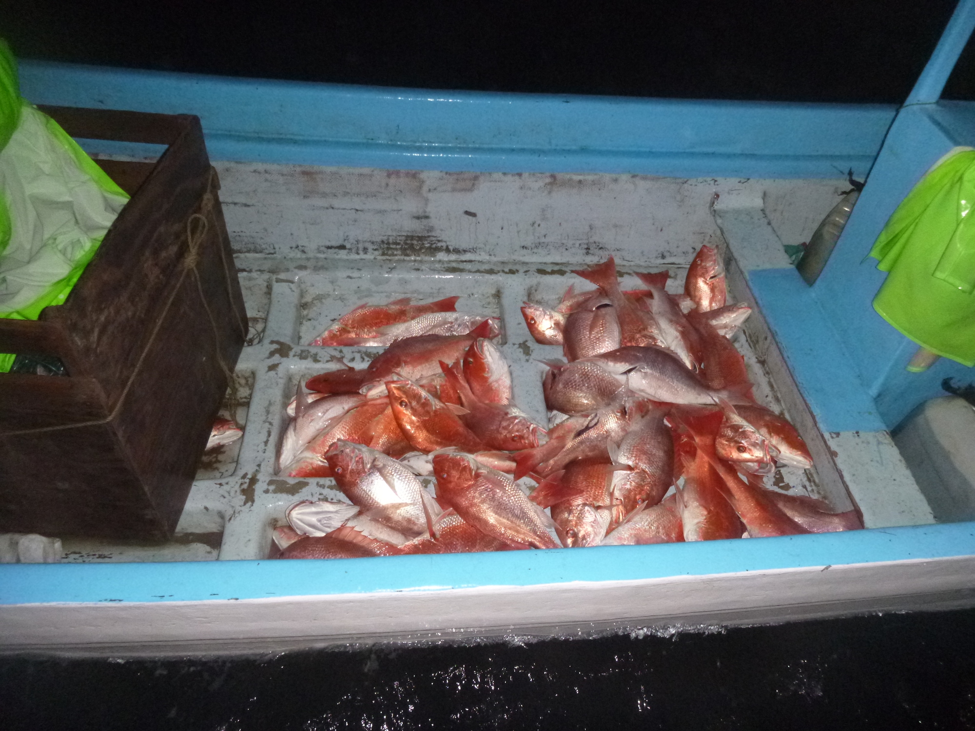 A boat crew from Coast Guard Cutter Jacob Poroo, a 154-foot fast response cutter homeported in Galveston, Texas, surveys red snapper illegally caught by a Mexican lancha crew approximately 55 miles north of the Maritime Boundary Line, Nov. 28, 2022. Coast Guard crews detained the four fishermen and transferred them to Customs and Border Protection agents for further processing. (U.S. Coast Guard photo, courtesy Cutter Jacob Poroo)