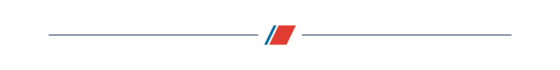 Section divider line with branded racing stripe in the middle