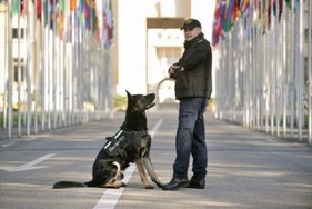 MWD Photo