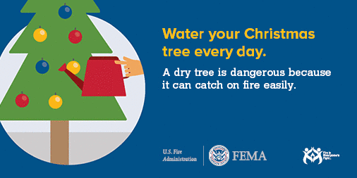 water your christmas tree